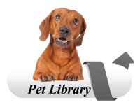 Lakemont Village Veterinary Hospital offers the VIN Client Information Library